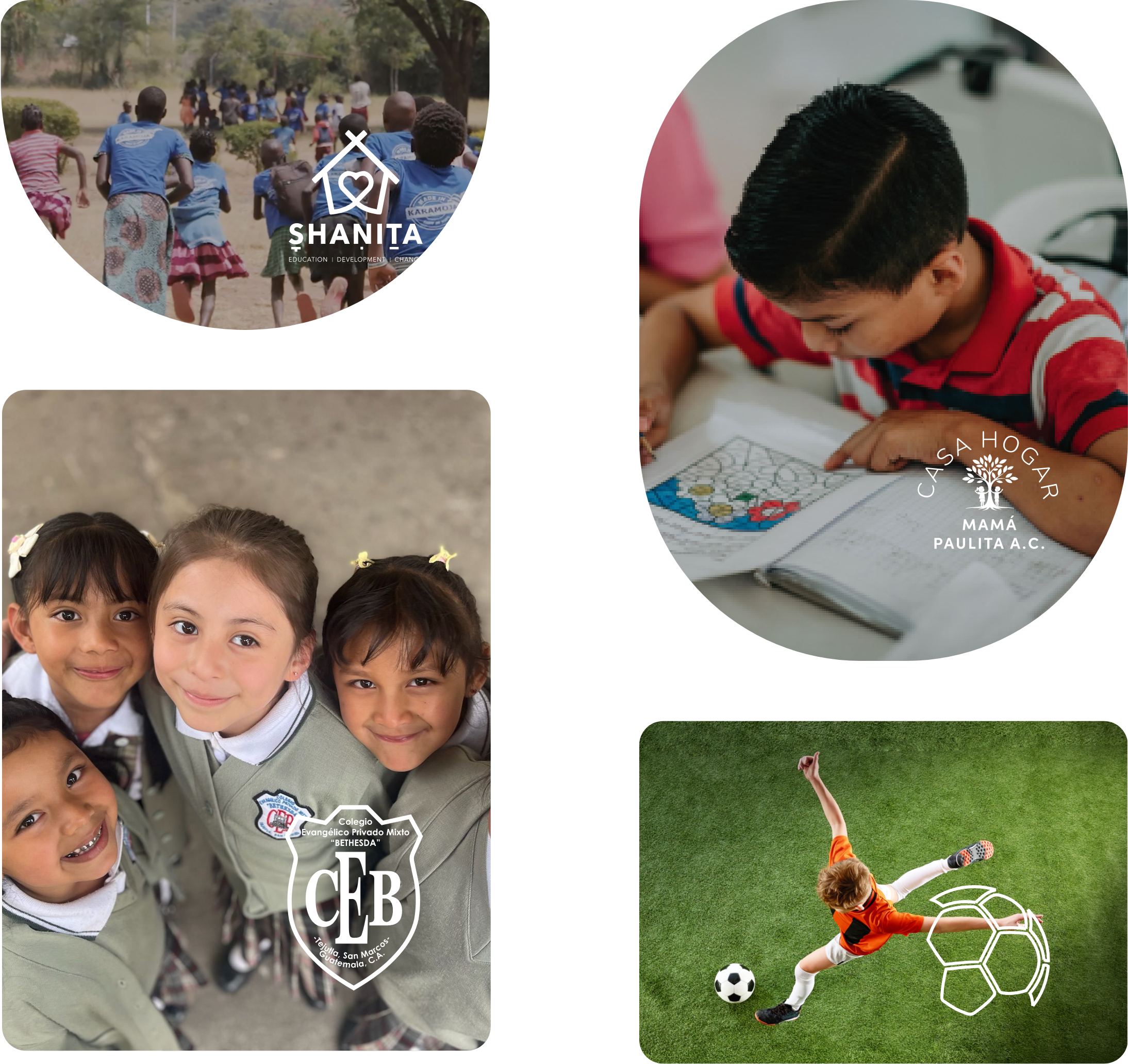 Bridges Program partners collage